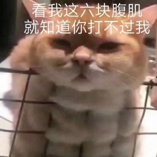 吃瓜表情包腹肌女生,展现独特魅力
