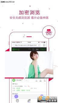 吃瓜做瓜软件免费下载,轻松掌握瓜界潮流！