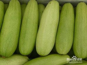 白瓜能怎么吃,解锁健康美味新体验