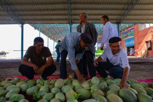恰瓜瓜吃瓜群,揭秘网络社交圈的趣味与争议
