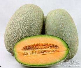 胰腺吃哈密瓜,哈密瓜的甜蜜呵护