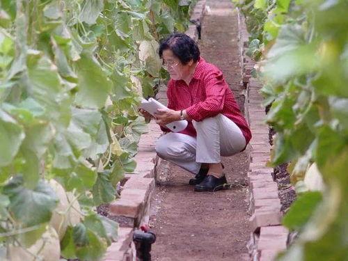 吃瓜自由的女人,揭秘“吃瓜自由”女性的独特魅力与生活态度