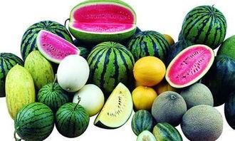 吃瓜内容,吃瓜群众眼中的明星幕后故事