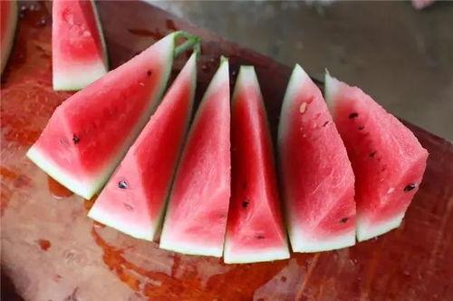 长沙吃瓜阿姨,揭秘长沙市民的日常生活与趣味