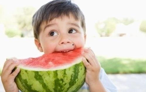 老子吃西瓜吃瓜,一场关于智慧与人生的寓言