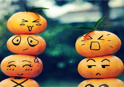 一颗瓜三人吃打三个数字,探寻瓜中数字的奥秘