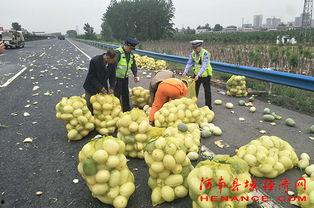 吃瓜群众路人葵,吃瓜群众的美食探索之旅