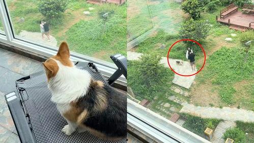 楼下吵架吃瓜群众,吃瓜群众现场直击楼下行侠仗义