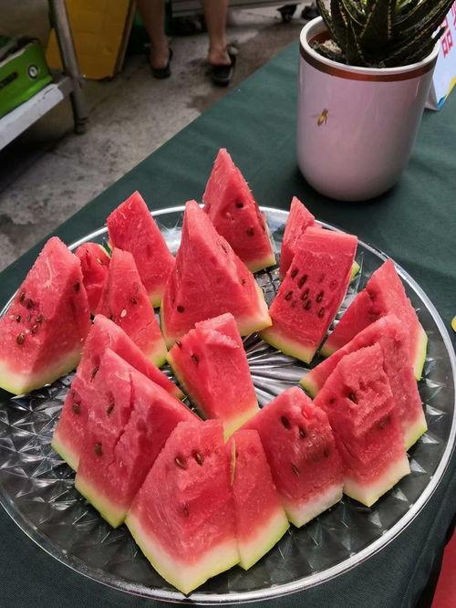 贾总吃烤瓜,品味人生，共享美好时光