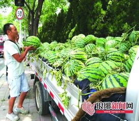 临沂销售吃瓜,吃瓜群众见证市场新动向