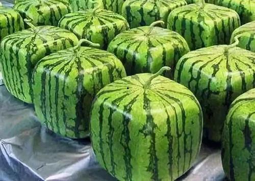 吃瓜来源于,揭秘网络热议背后的真相与趣味