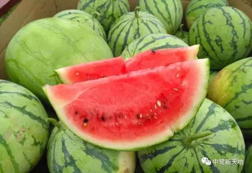 麦吉吃瓜,揭秘娱乐圈背后的那些事儿